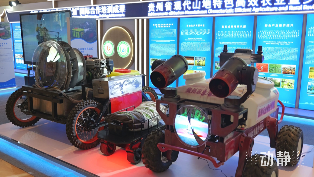 展示成果分享經(jīng)驗，中國—東盟教育交流周深化合作共創(chuàng)未來！