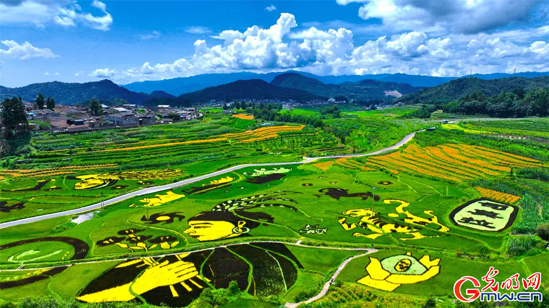 云南清水：延伸公共法律服務(wù)觸角，讓普法與民族團(tuán)結(jié)進(jìn)步互促共融