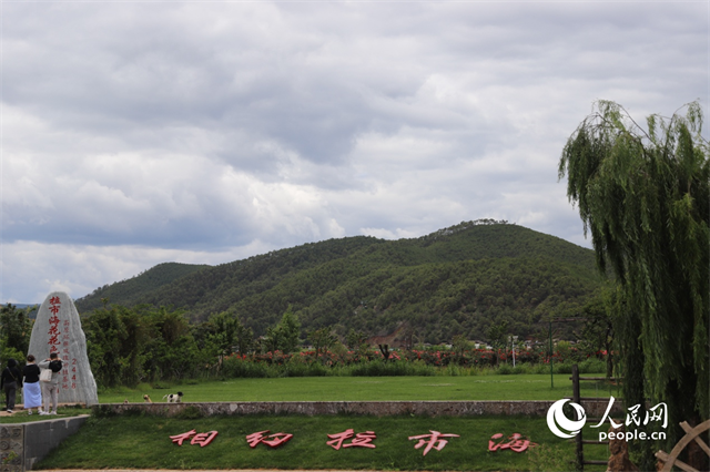 麗江市拉市海景區(qū)。 人民網(wǎng)記者 程浩攝