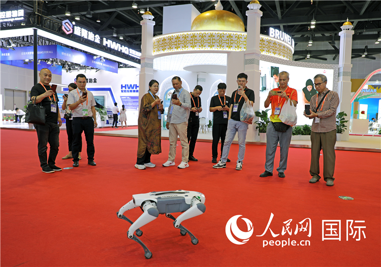 東博會(huì)上，觀眾正在參觀一只機(jī)器狗。綠色能源、新能源汽車(chē)、綠色農(nóng)產(chǎn)品等成為本屆東博會(huì)觀眾關(guān)注的焦點(diǎn)。人民網(wǎng)記者 趙益普攝