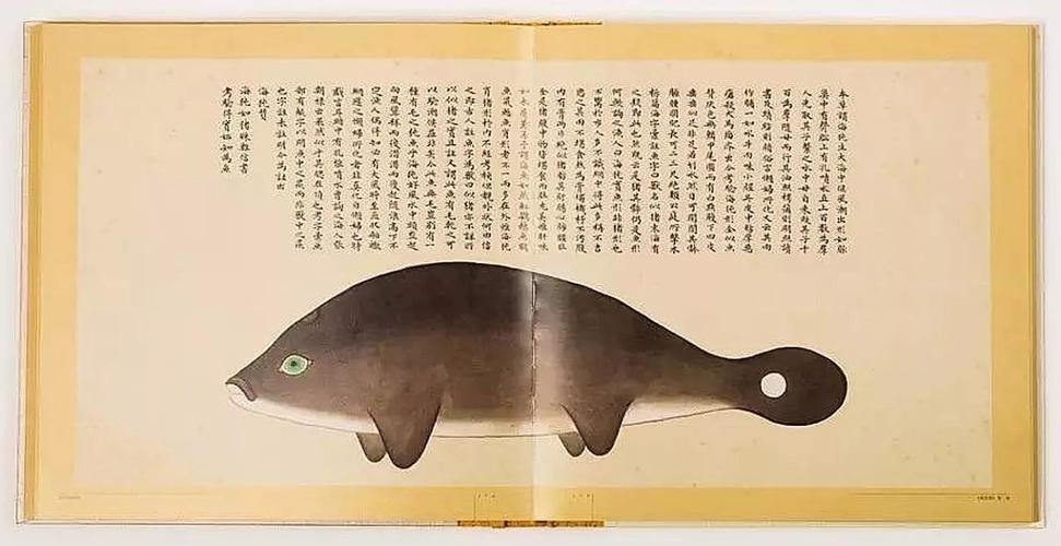 文化中國行 長江之歌丨微笑的江豚，從四千年前“游”來