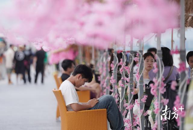 崖口村東堤靠近海岸，成為了熱門打卡休閑地點(diǎn)。