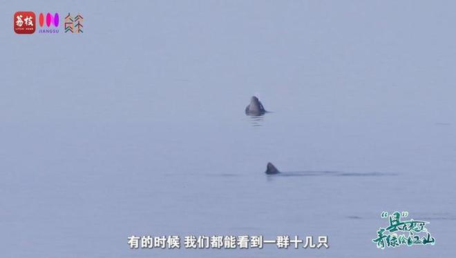 “縣”在起筆 青綠繪江山 | 江灣沐曉：褪去“銹色”走“金線”，繡出生態(tài)與產(chǎn)業(yè)“雙面錦”