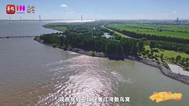 “縣”在起筆 青綠繪江山 | 江灣沐曉：褪去“銹色”走“金線”，繡出生態(tài)與產(chǎn)業(yè)“雙面錦”