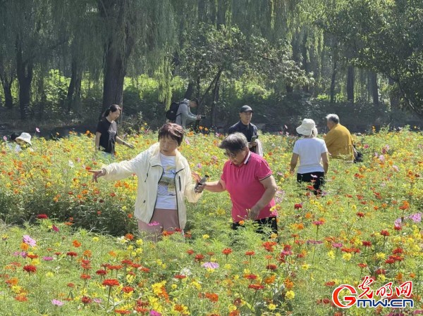 何以中國·理想都城｜數(shù)字化技術再現(xiàn)圓明園昔日輝煌盛景