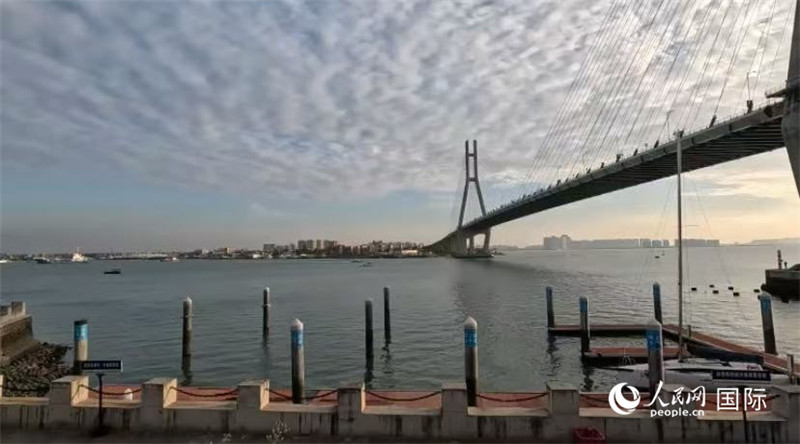 海南省儋州市洋浦大橋。人民網(wǎng) 薩拉·阿芙澤爾攝