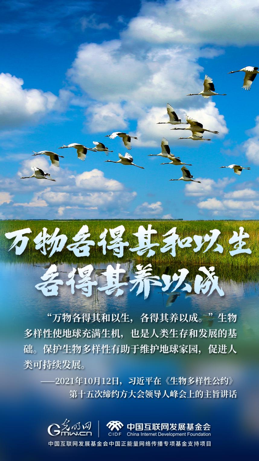 “兩山”理念與美麗中國(guó)丨濕地與候鳥，一場(chǎng)歲歲年年的相守