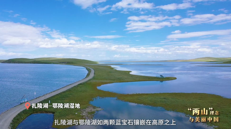 “兩山”理念與美麗中國(guó)丨濕地與候鳥，一場(chǎng)歲歲年年的相守