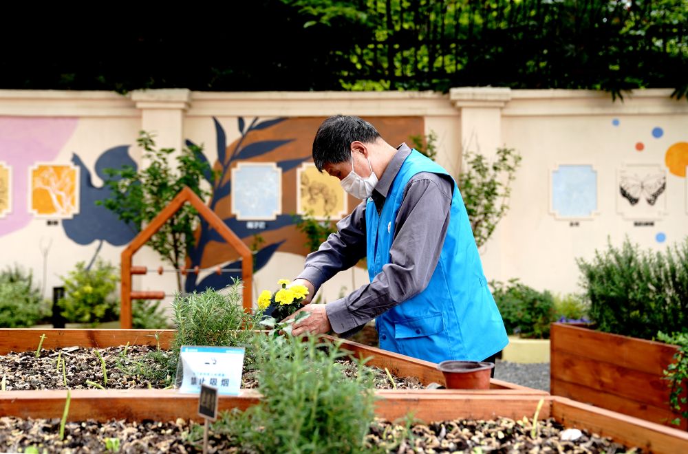 上海市長(zhǎng)寧區(qū)虹旭小區(qū)居民在整理改造社區(qū)花園。居民們把堆肥箱里發(fā)酵出來的“綠色材料”和土壤拌在一起鋪在種植箱中（2020年4月22日攝）。新華社記者 張建松 攝