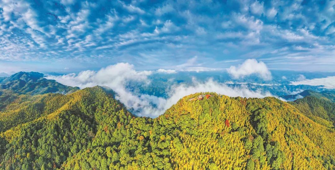 　三明森林生態(tài)環(huán)境優(yōu)美。