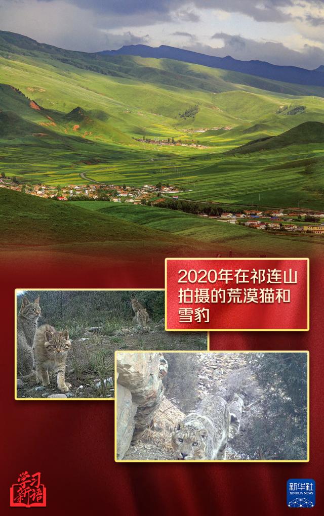 學(xué)習(xí)新語(yǔ)丨越來(lái)越好