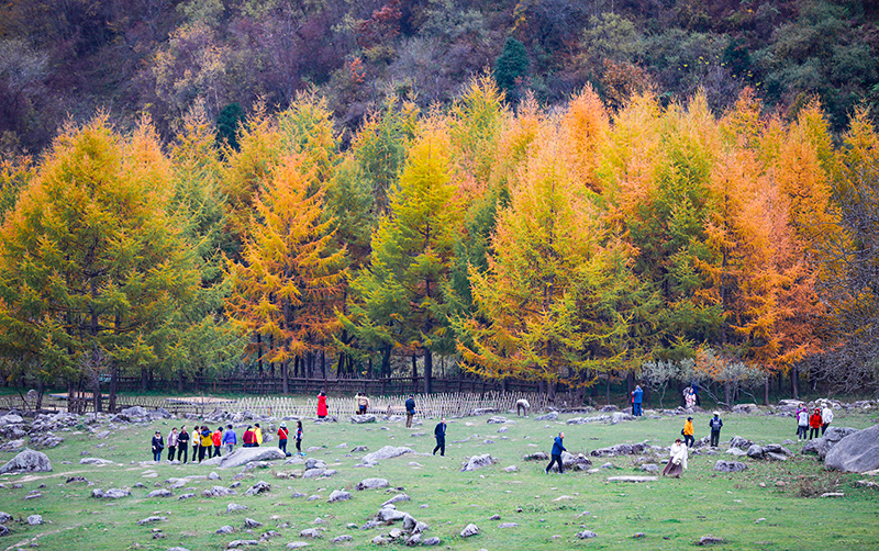 2023年10月27日，深秋時節(jié)的陜西秦嶺太子嶺漫山紅黃、色彩交織，進入最佳觀賞期。