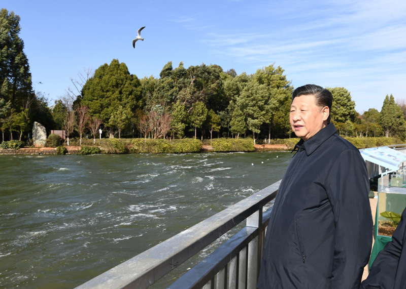 2020年1月20日下午，習(xí)近平總書記在云南昆明滇池星海半島生態(tài)濕地考察調(diào)研。