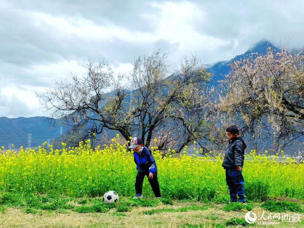 孩童在桃花下嬉戲。人民網(wǎng) 李海霞攝