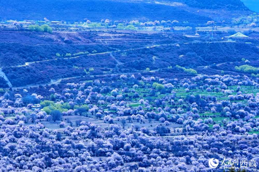 遠(yuǎn)眺“桃花村”。人民網(wǎng) 李海霞攝