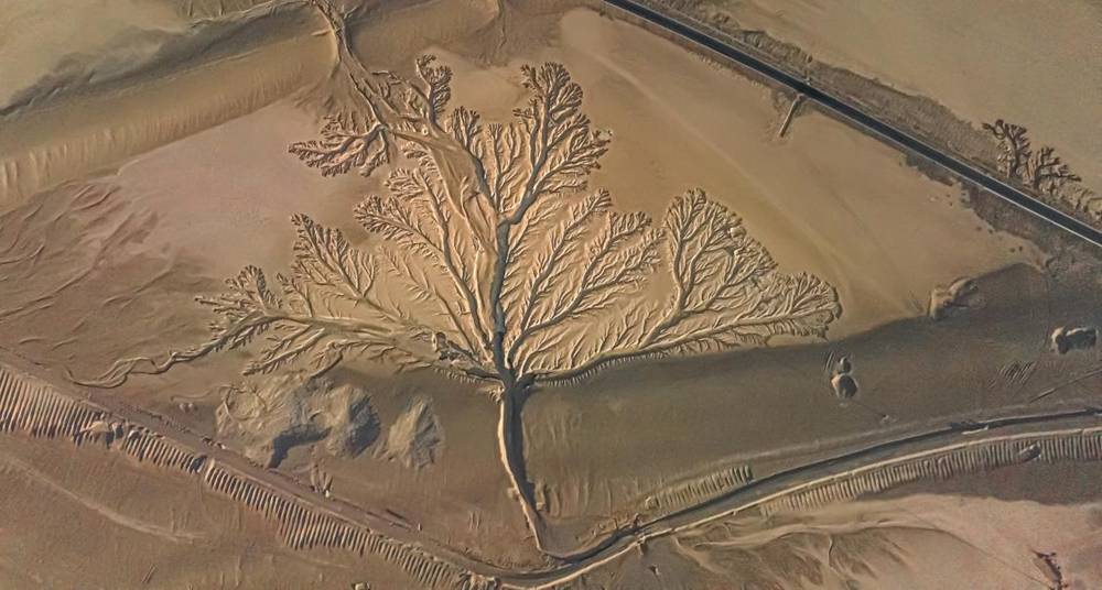 壯觀的“大地之樹”。邊巴多吉攝