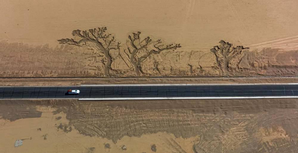 位于國道216沿線的“大地之樹”。邊巴多吉攝