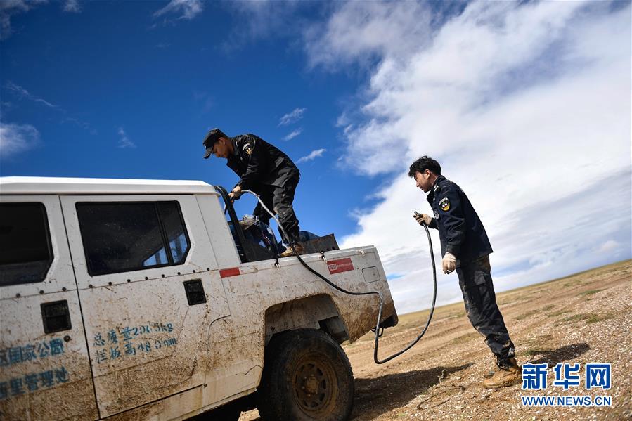 （圖文互動）（6）記者手記：可可西里，“挪”向“藏羚羊大產房”的14個半小時