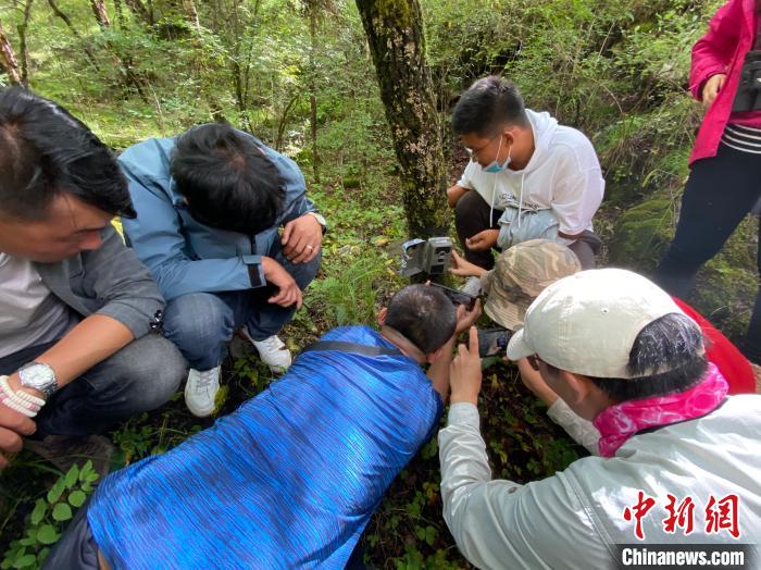 圖為訪客正在查看紅外相機中的拍攝畫面。　李江寧 攝