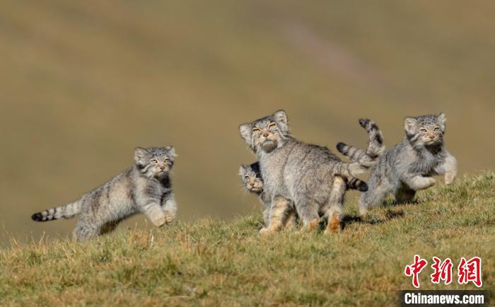 圖為李善元獲獎(jiǎng)作品《當(dāng)媽媽說(shuō)跑步前進(jìn)》?！±钌圃?攝