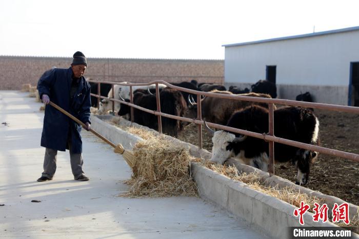 柴達木盆地蓮湖村：讓致富村民生活“?！逼饋?/></a></div>
                        <div   id=