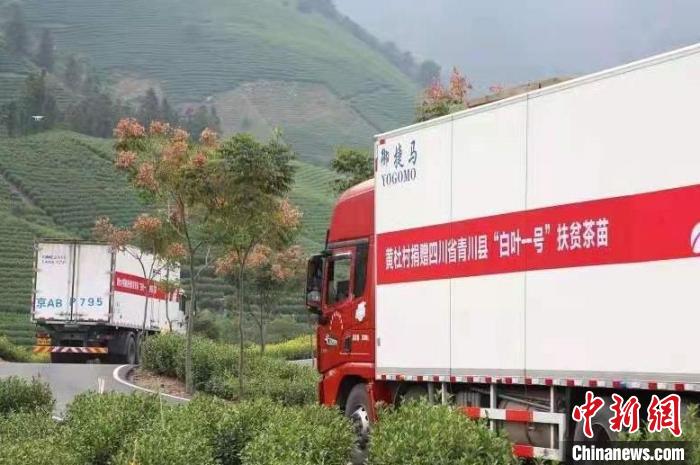 化作“及時(shí)雨”滋養(yǎng)“山海情”見證小金縣的蝶變