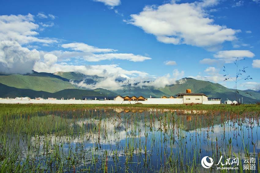 納帕海濕地風景。呂昊辰攝