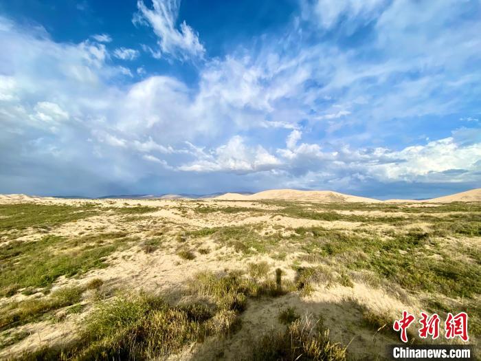 圖為關(guān)停四年后的沙島景區(qū)現(xiàn)狀?！±罱瓕?攝