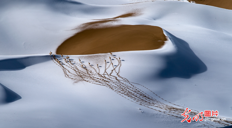 三江源國家公園正式設立，這是青海生態(tài)文明建設的新答卷