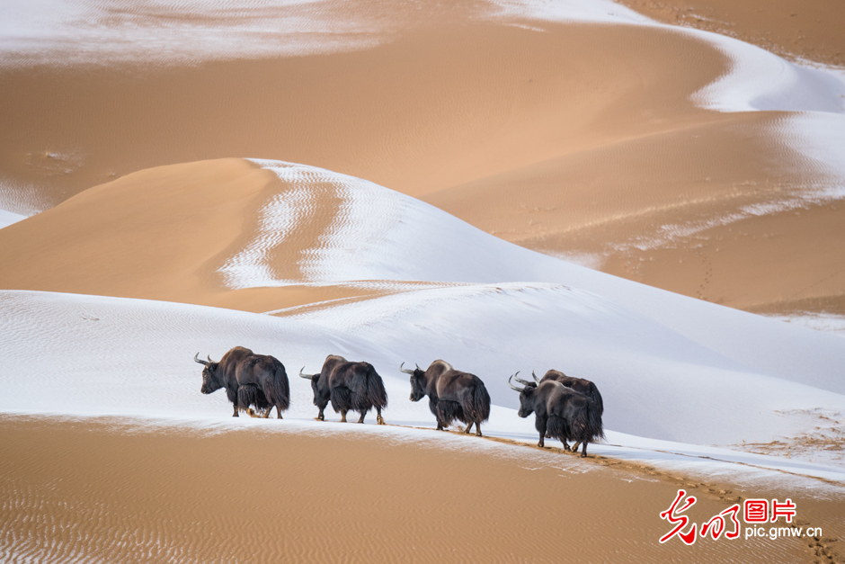 三江源國家公園正式設立，這是青海生態(tài)文明建設的新答卷