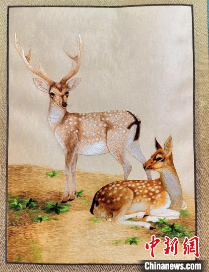 圖為藏繡作品?！∑钤鲚?攝