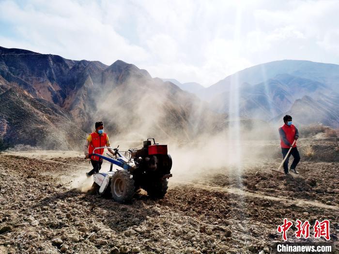 圖為拖拉機(jī)在山地犁地。　張?zhí)砀?攝