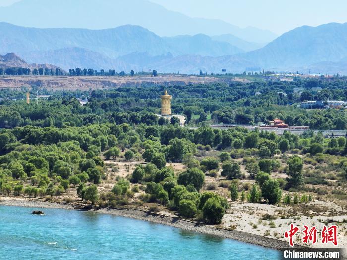 航拍貴德縣黃河岸畔綠意盎然?！●R銘言 攝