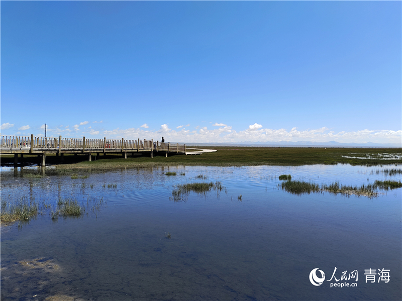   青海湖仙女灣。人民網(wǎng) 張莉萍攝