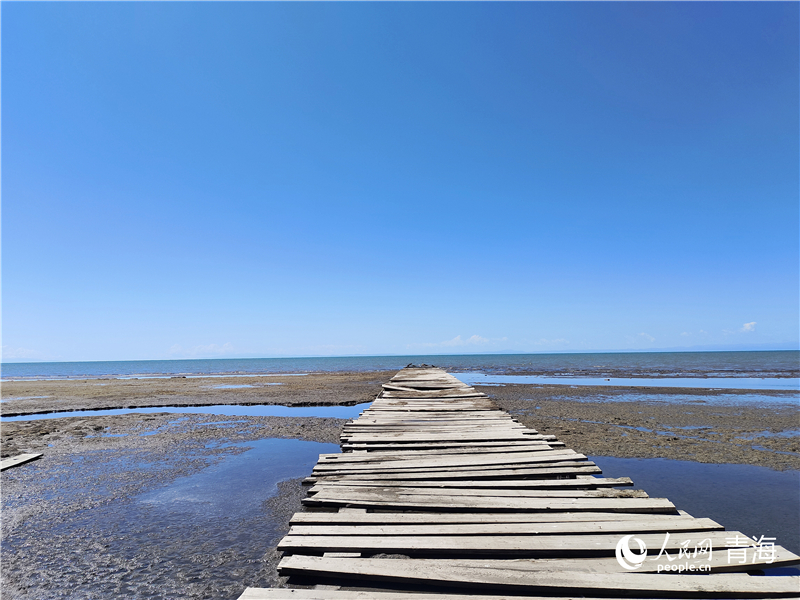   青海湖仙女灣。人民網(wǎng) 張莉萍攝