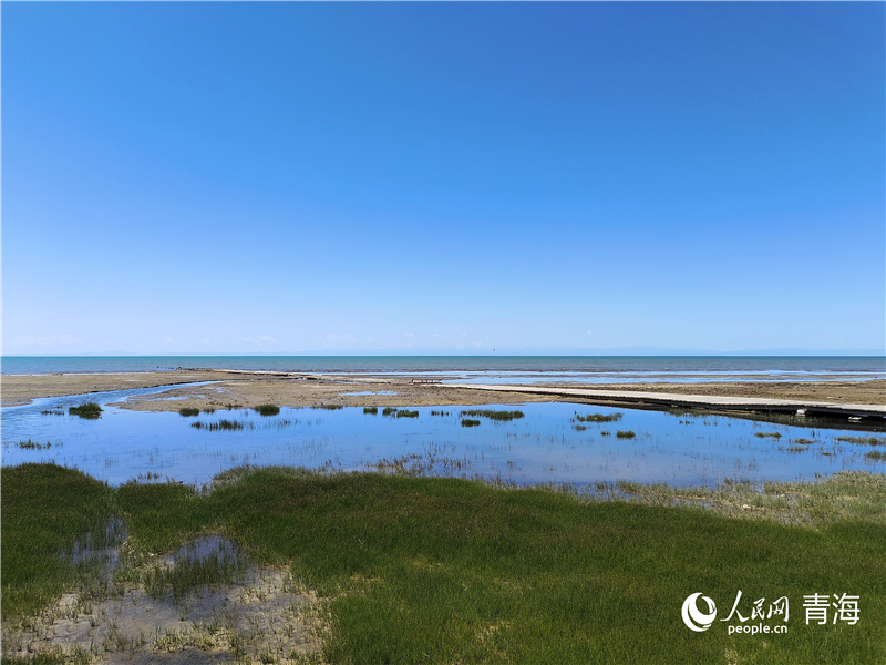   青海湖仙女灣。人民網(wǎng) 張莉萍攝