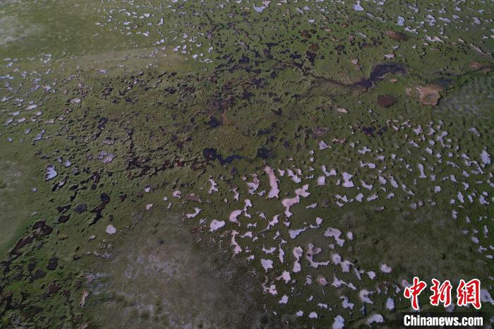 航拍查旦濕地。　馬銘言 攝