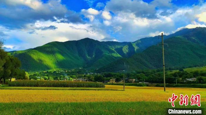 云南迪慶：鄉(xiāng)村旅游助力增收致富