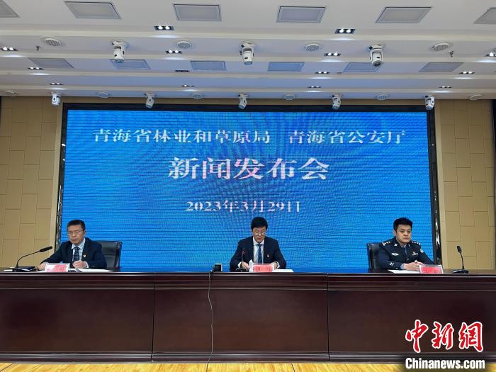 青海去年占用林地、草地準(zhǔn)予許可件同比實(shí)現(xiàn)“雙減”