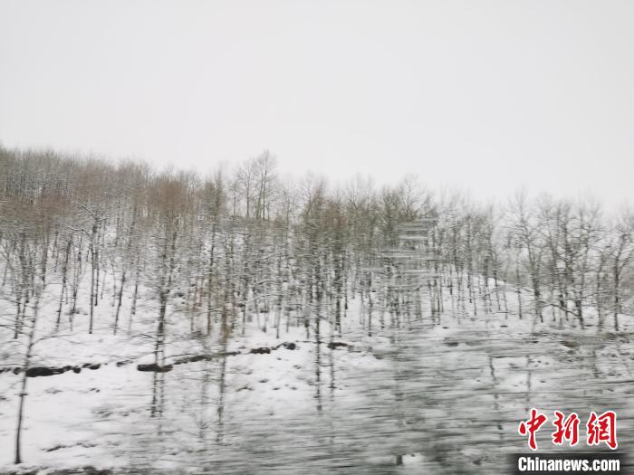 圖為青海青沙山區(qū)域被降雪覆蓋?！?zhí)砀?攝