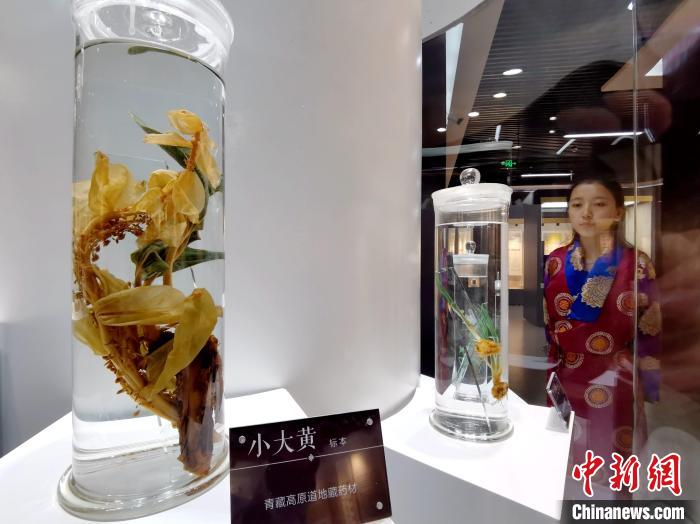 青海中藏醫(yī)藥發(fā)展提速：建設一批重點?？茖W科，推廣一批適宜技術