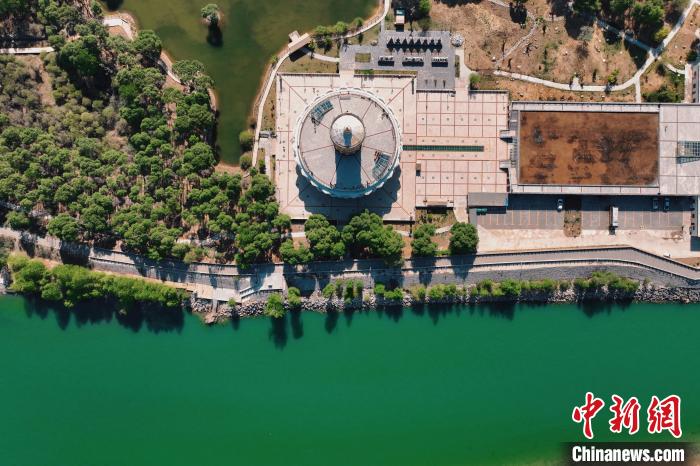 航拍青海貴德黃河岸畔綠意濃濃?！≮w凜松 攝