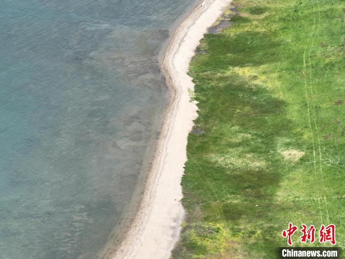 圖為航拍仲夏時節(jié)，青海湖畔綠茵如毯?！∑钤鲚?攝