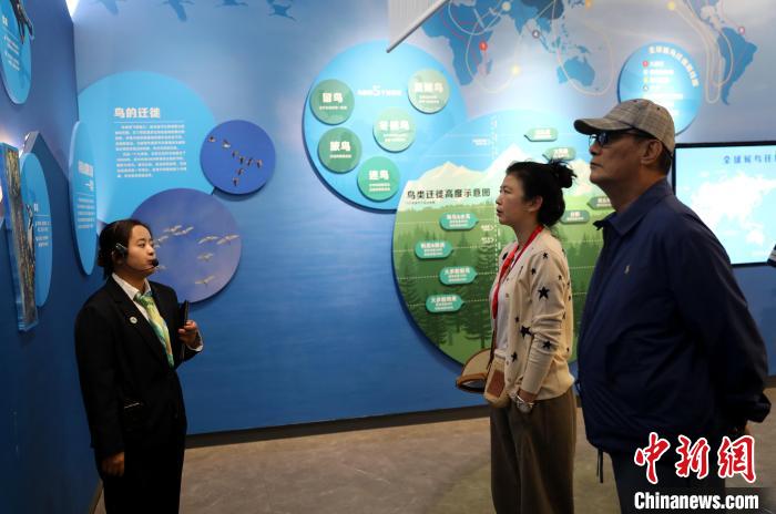 圖為臺商在祁連山國家公園生態(tài)科普館內聆聽講解?！⊙Φ?攝