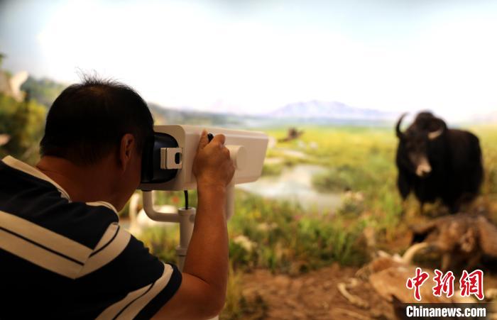 圖為臺商觀看祁連山國家公園生態(tài)科普館內生態(tài)場景?！⊙Φ?攝