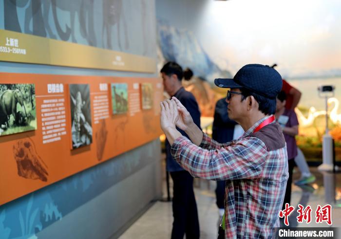 圖為臺商在祁連山國家公園生態(tài)科普館觀看墻面藝術圖文?！⊙Φ?攝
