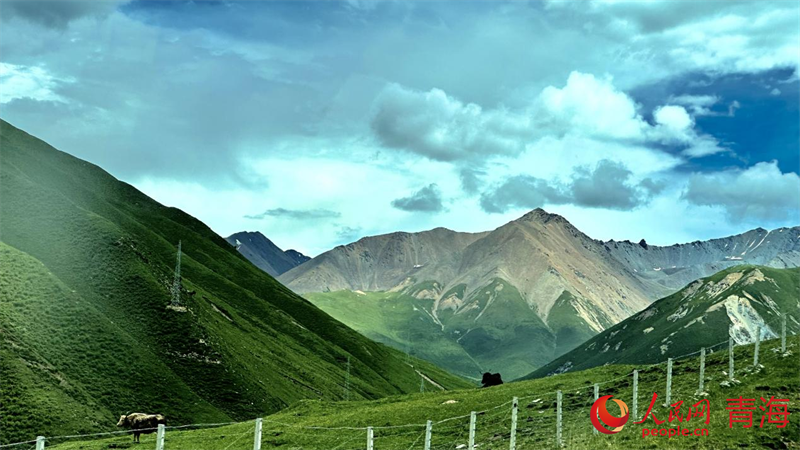 果洛風光。人民網(wǎng) 劉沛然攝