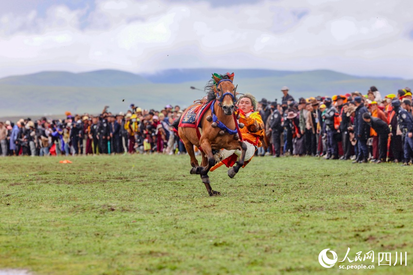 馬術(shù)表演現(xiàn)場(chǎng)。洛絨尼瑪攝