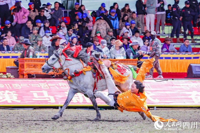 馬術(shù)表演現(xiàn)場(chǎng)。洛絨尼瑪攝