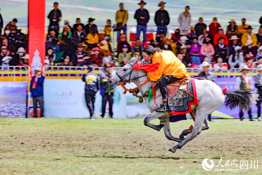 馬術(shù)表演現(xiàn)場(chǎng)。洛絨尼瑪攝